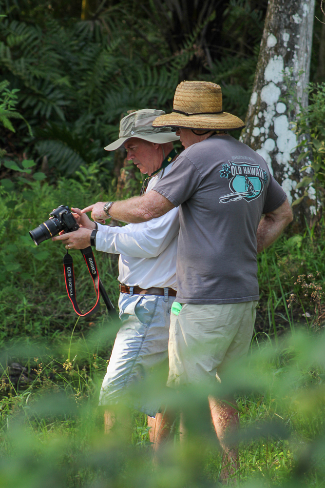 Conservation Photography